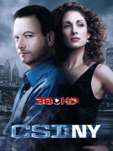 ดูซีรี่ย์ CSI NY Season 1 (2004) หน่วยเฉพาะกิจสืบศพระทึกนิวยอร์ก ปี 1