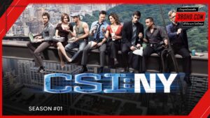 CSI New York Season 1