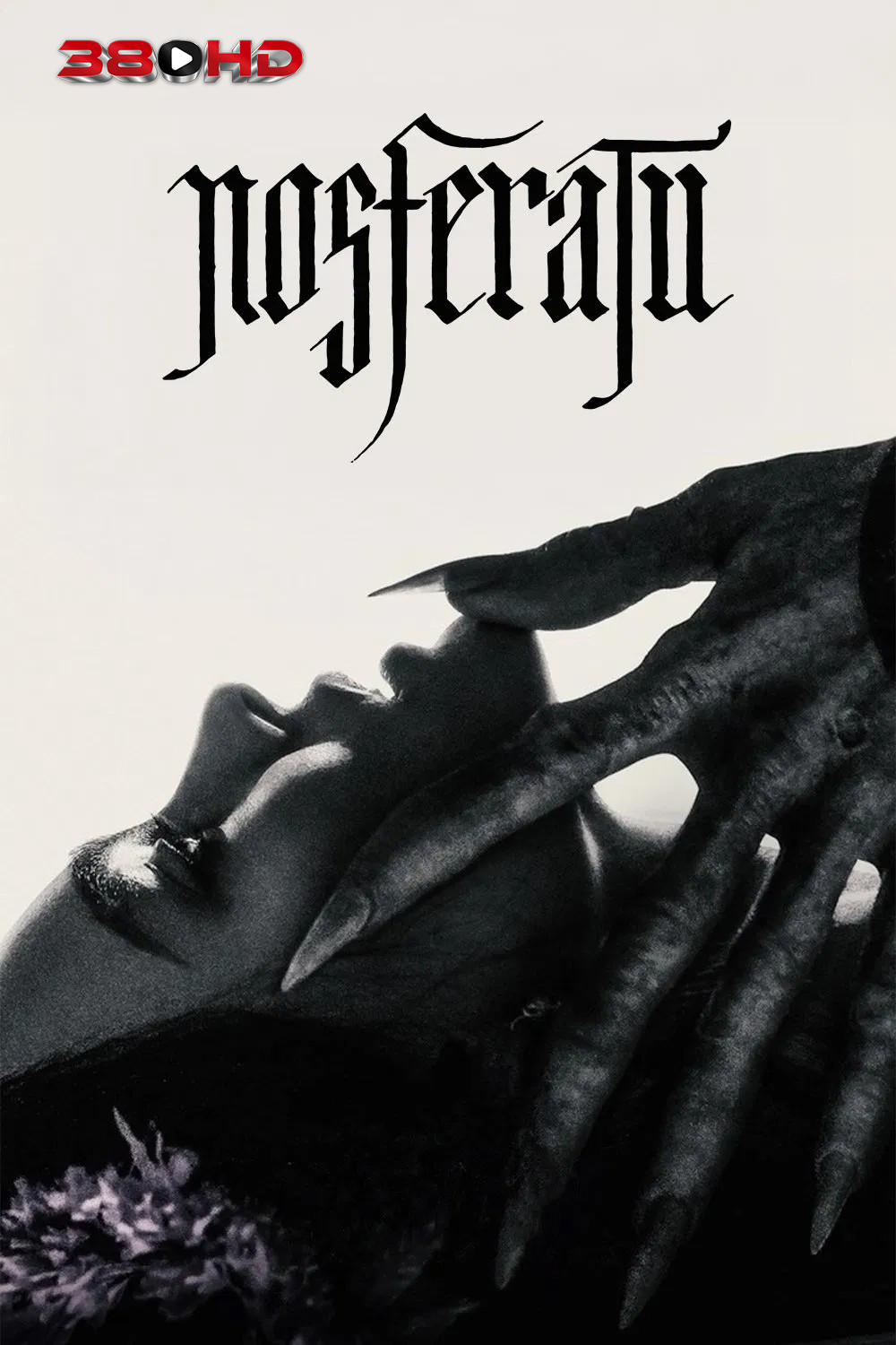 ดูหนัง Nosferatu เดอะ นอสเฟอราตู พากย์ไทย